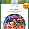 Pokémon Go Shiny Reshiram Level 40