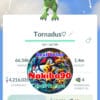 Pokémon Go Shiny Tornadus Therian Level 40