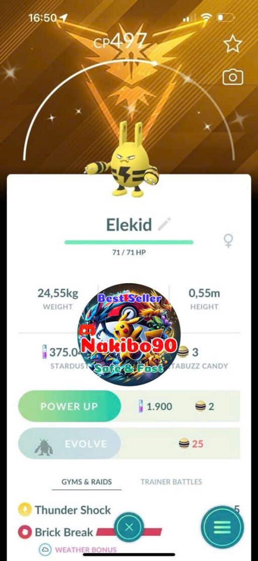 Pokémon Go Shiny Elekid Spark Accessory Background Team Instinct