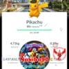 Shiny Pikachu Safari Hat Backgrounds Incheon