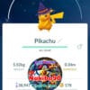 Pokémon Go Shiny Pikachu Witch Hat Costume 