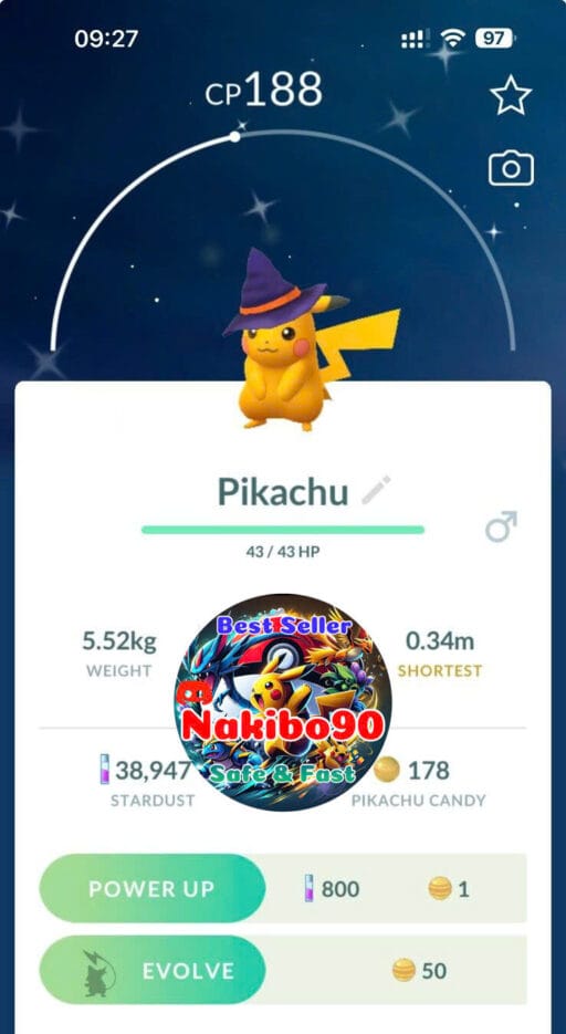 Pokémon Go Shiny Pikachu Witch Hat Costume 