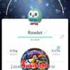 Pokémon Go Shiny Rowlet Special Background December